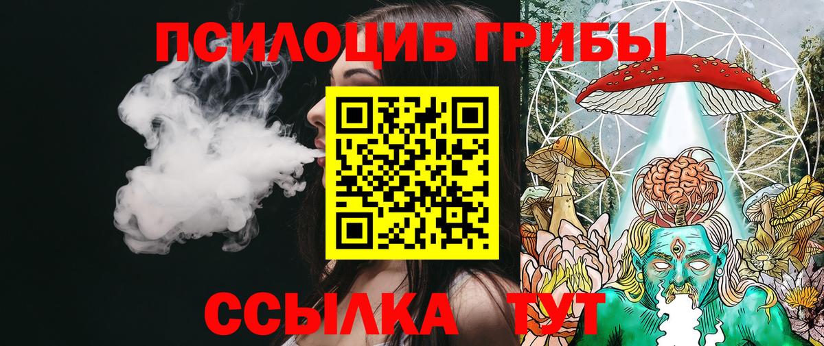 Псилоцибиновые грибы Magic Shrooms Сургут
